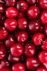 cherries background