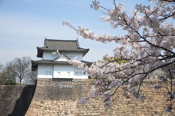 桜咲く大阪城