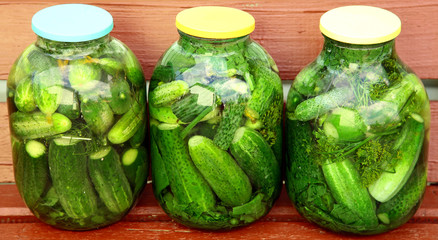 Fresh marinated cucumbers in the garden