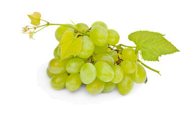 Grapes isolated on white