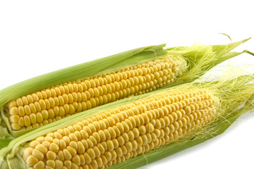 ear of corn