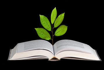 sapling growing from open book