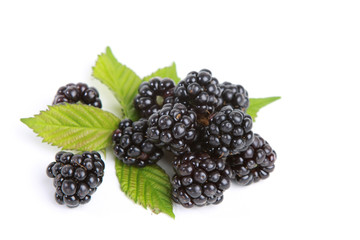 Brombeeren