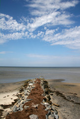 beach on Outer Banks