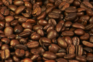 Coffee beans
