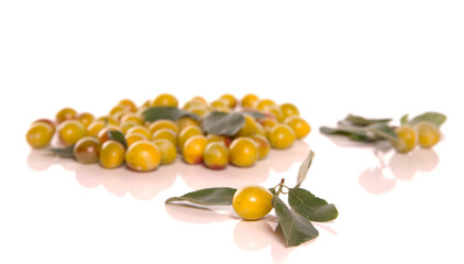 Groupement de mirabelle