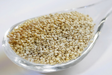 Graines de Quinoa