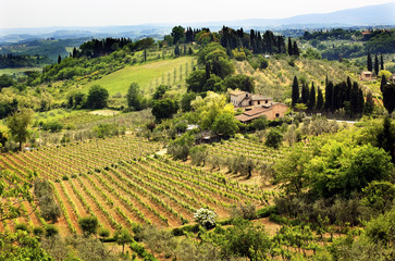 Tuscan Farm Vineyard San Gimignano Tuscany Italy - obrazy, fototapety, plakaty
