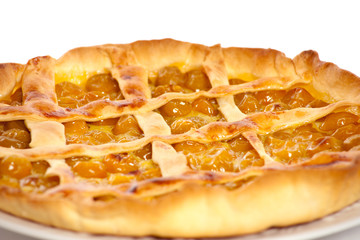 Tarte aux mirabelles 3