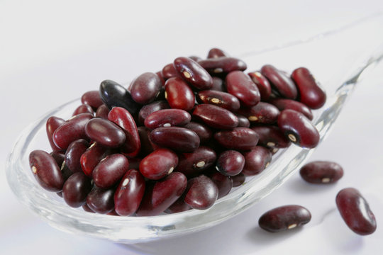 Haricots rouges
