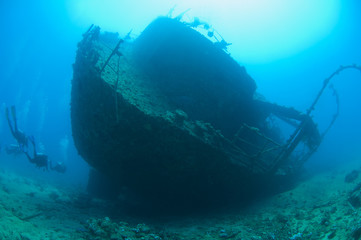 Scuba divers on a large shipwreck