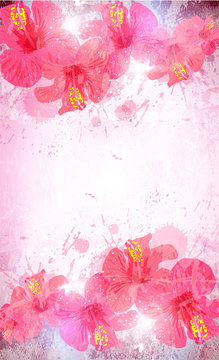 Abstract tropical background. Hibiscus flower for design.