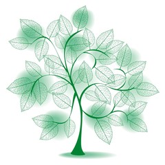 green tree silhouette