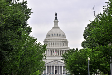 Capitol of Washington DC