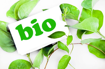 Bio message on leaves