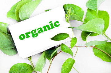 Organic message on leaves