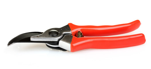 Obraz premium pruner isolated on white