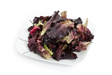 red leaf lettuces