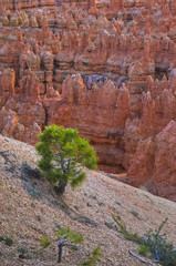 Bryce Canyon