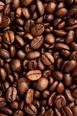 Coffee Bean