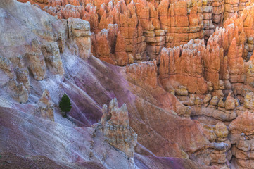 Bryce Canyon