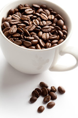 Coffee Bean