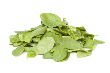 A fresh green spinach leaf