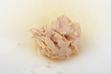 canned tuna in  oil