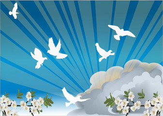 colombes dans le ciel nuageux et les branches de fleurs