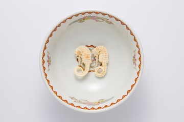 タツノオトシゴ