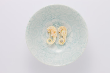 タツノオトシゴ