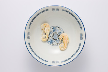 タツノオトシゴ