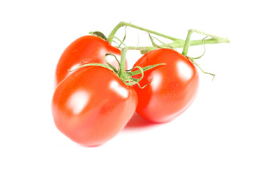 cherry tomatoes isolated