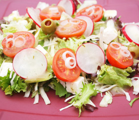 Frischer Salat