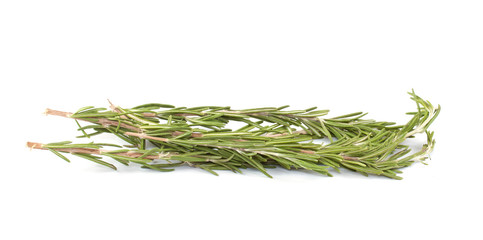 Resemary branches isolated