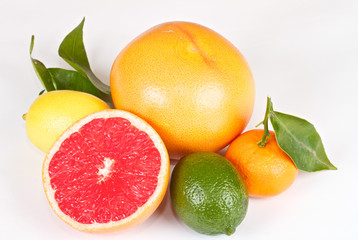 Fresh juicy grapefruits