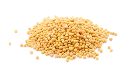 Yellow mustard seeds isolated