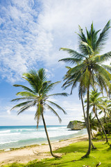 Fototapeta premium Bathsheba, Eastern coast of Barbados, Caribbean