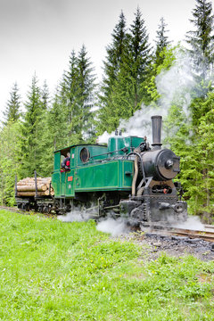 steam train, Museum of Kysuce village, Vychylovka, Slovakia