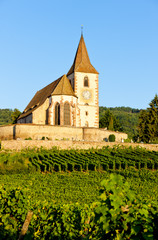 Fototapeta na wymiar church with vineyard, Hunawihr, Alsace, France