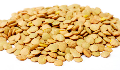 Brown lentils scattered on white background