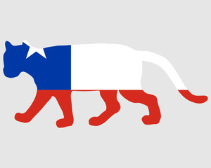 Obraz premium Puma Chile