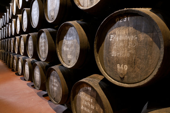 port wine ages in barrels in cellar