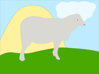 white cartoon sheep - vector