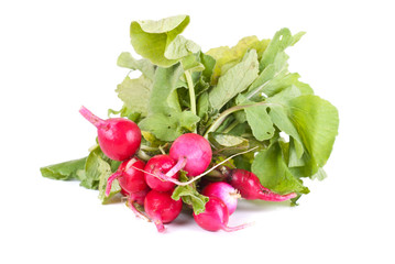 Fresh radishes