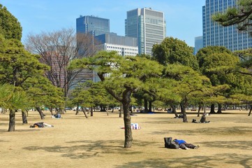 Imperial Palace Park of Tokyo