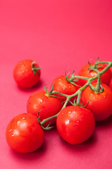 tomato image 5