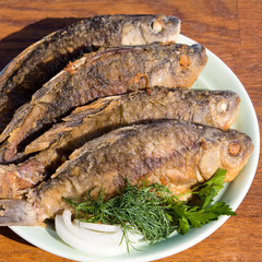 Fried fish carp in plate
