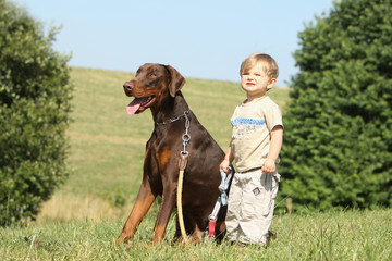 jeune garçon tenant en laisse un dobermann
