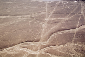 Nazca Lines Parrot and several triangles